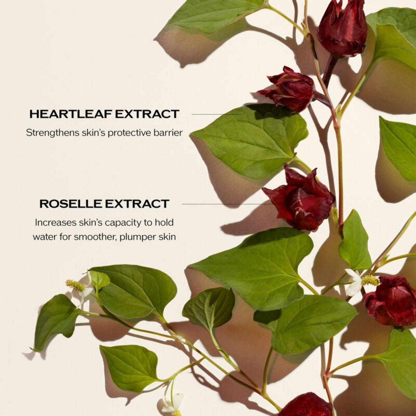 Shiseido ultimate power infusing concentrate serum