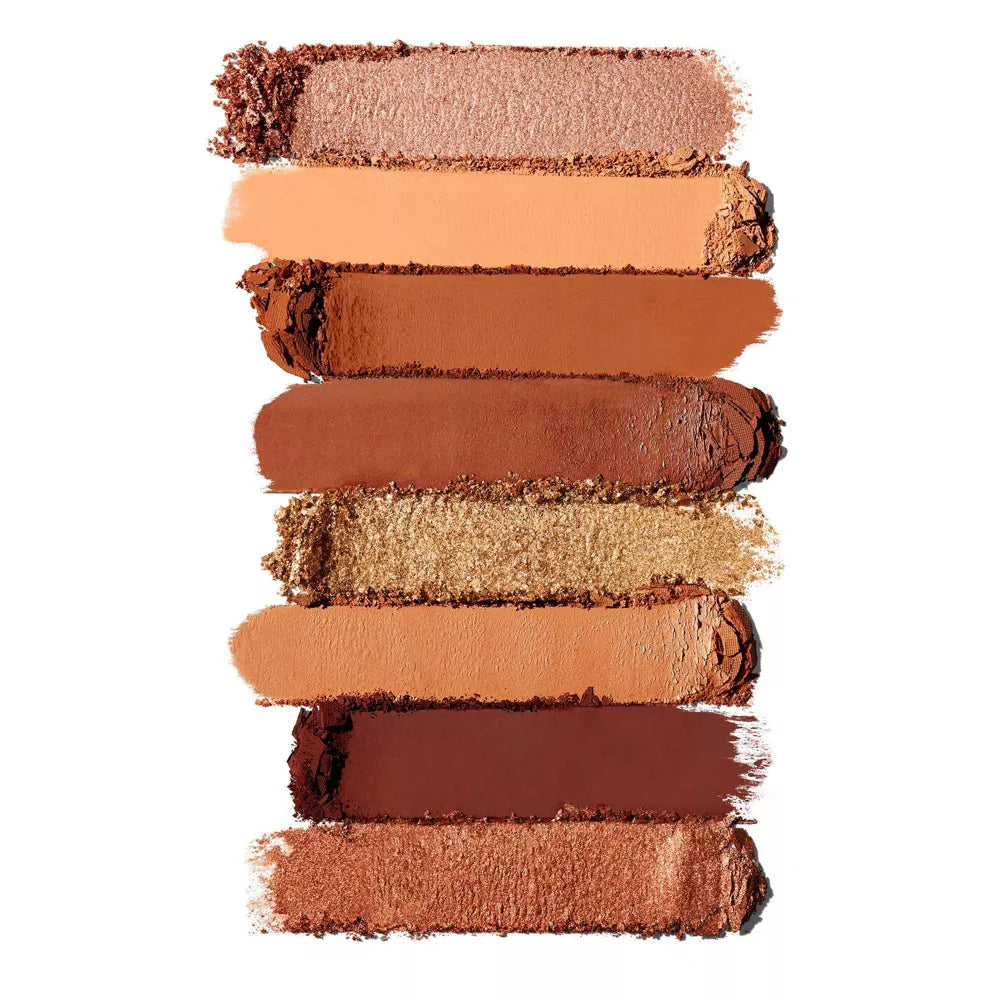 Too Faced Pop-Tarts Brown Sugar Cinnamon Mini Eye Shadow Palette